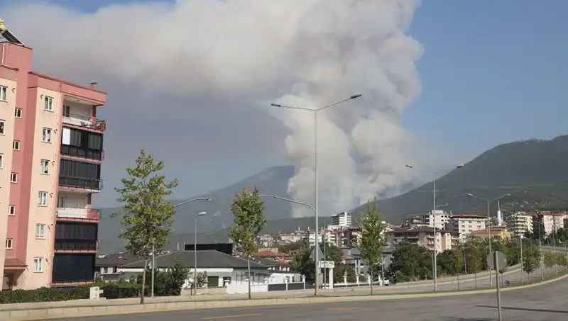 Denizli'deki Orman Yangını: Bir Şüpheli Gözaltında, Yangının Nedenleri Araştırılıyor