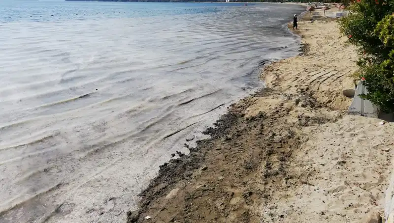 Müsilaj Sorunuyla Mücadelede Kapsamlı Önlemler: 268 İşletme Kapatıldı