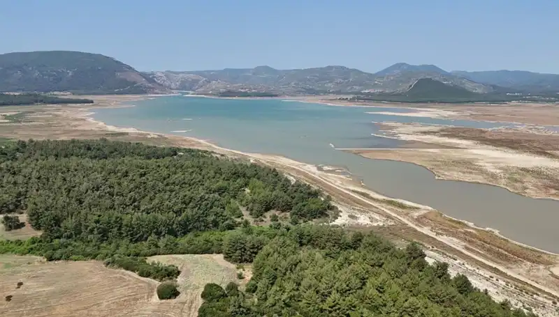 İzmir’de Tehlike Çanları Çalıyor: Geçen Yıla Göre Yüzde 50 Düşüş