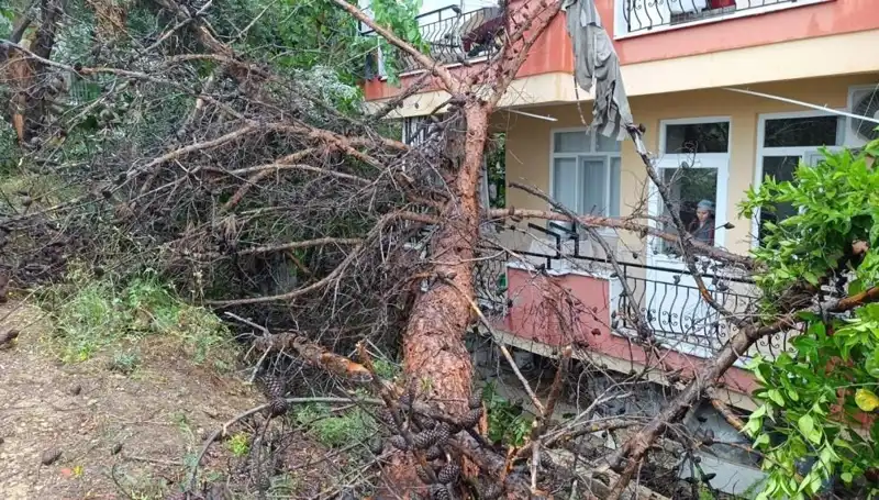 Aşırı Yağışlar Binayı Göçmeye Zorladı: Büyük Çöküşü İzleyin!