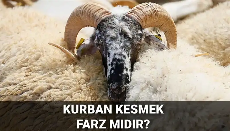 Kurban Kesmek Farz mı? Diyanet’in Değerlendirmeleriyle Şartları Neler?