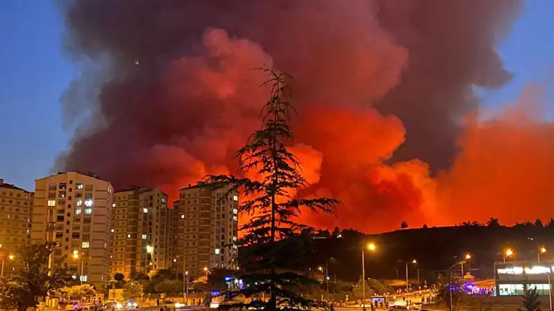Bursa'da Yangın Alarmı: Şehri Tehdit Eden Alevler Yükseliyor!