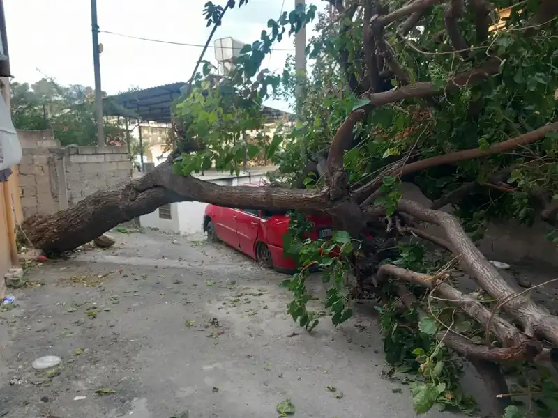 Hatay'da Şiddetli Fırtına, Ağaçları Devirip Çatıları Uçurdu!