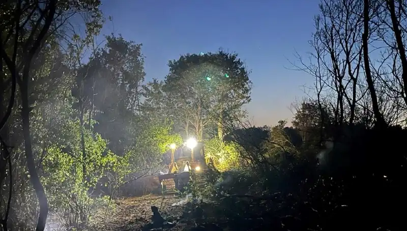 Edirne'deki Orman Yangını Kontrol Altına Alındı: Havadan ve Karadan Mücadele