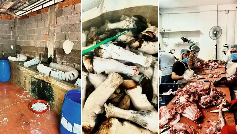 Adana’da Şok Eden İhbar: Yüzlerce Kilo Paça Ele Geçirildi!