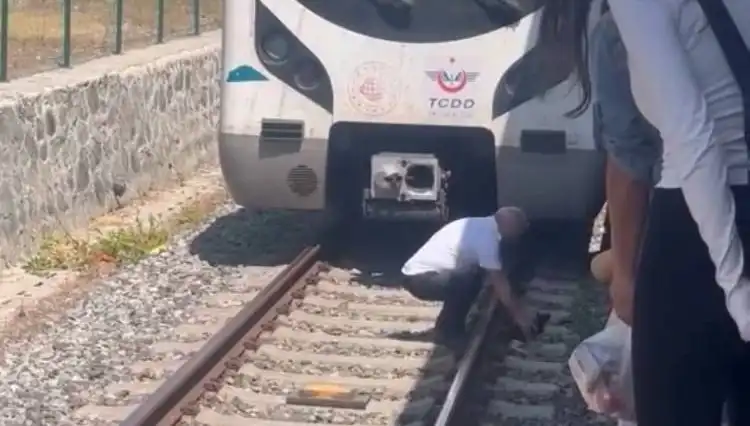 Marmaray Makinistinin Duyarlı Hareketi: Raylardaki Kediyi Kurtardı