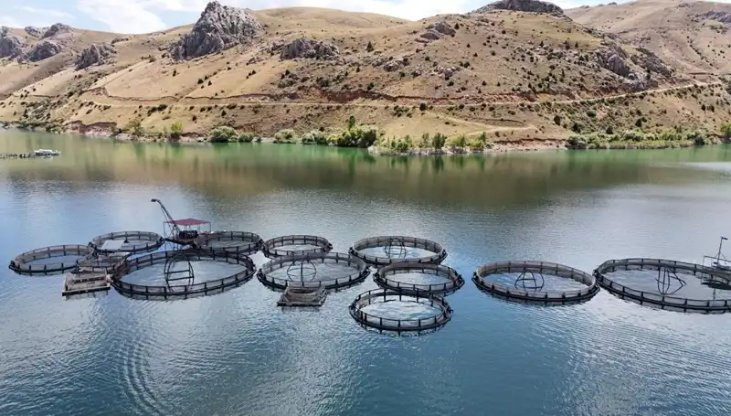 Denizi Olmayan Şehirde Balıkçılıkta İddialı Hedef: 5 Bin Ton!