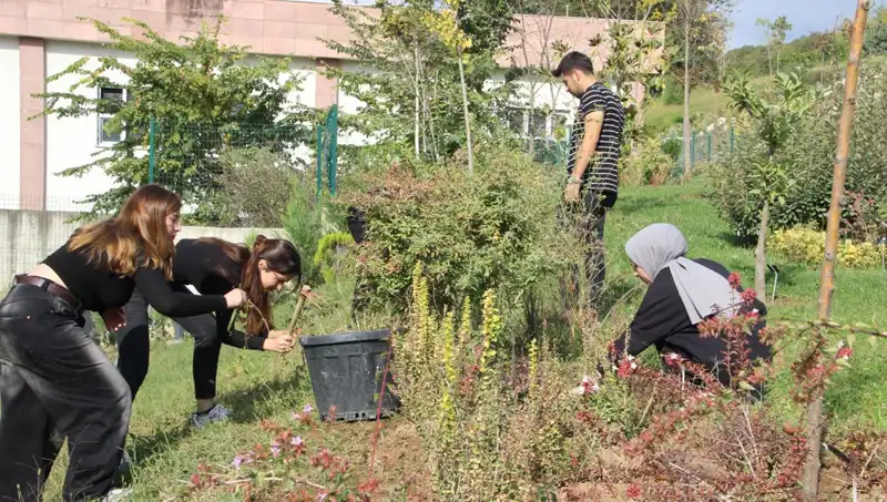 Düzce'de Başlayan Bir Rüya: Dünya Çapında Tanınan Bir Markanın Hikayesi