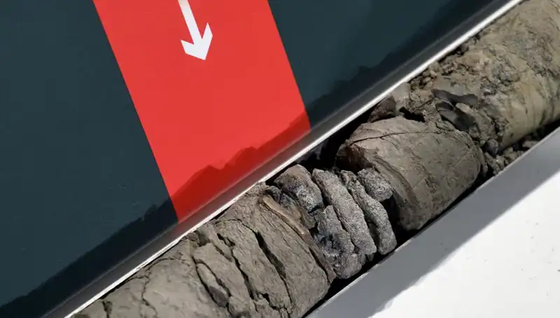 Müze Otoparkında Şok Edici Dinozor Fosili Keşfi
