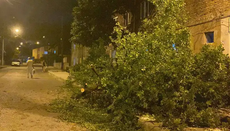 Karabük'te Fırtına: Doğa Felaketi Hayatı Olumsuz Etkiledi