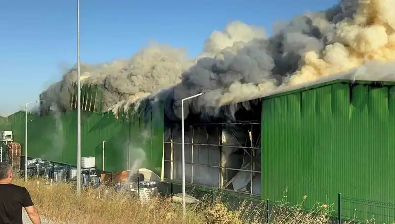 Balıkesir'deki Fabrika Yangınında Can Kaybı: 2 İşçi Hayatını Kaybetti, 1 Kişi Tutuklandı