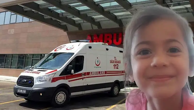 8 Yaşındaki Roza'nın Kayıp Hikayesi: 10 Ay Sonra Gelen Acı Haber