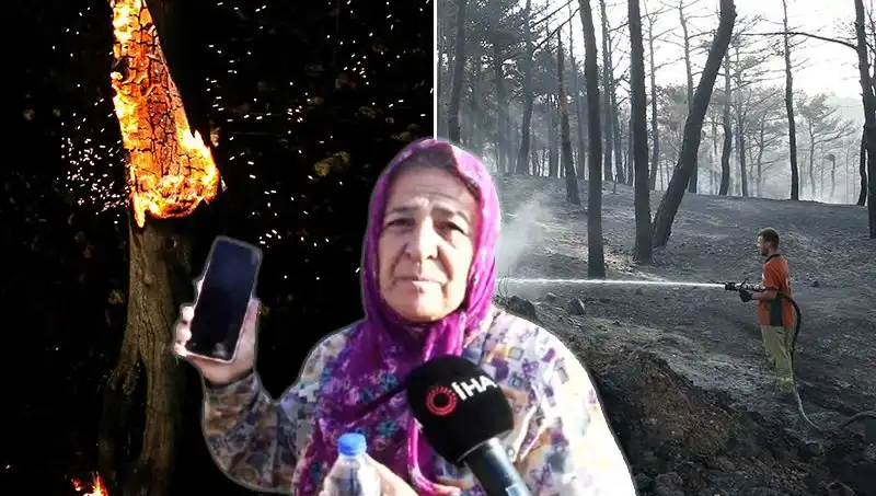 Çanakkale Orman Yangınları Kontrol Altına Alındı: Kayıplar Ardında Neler Var?