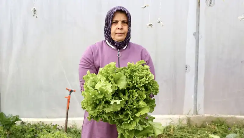 Emekliliğin Ardından Devlet Desteğiyle Hayalindeki İşi Kurdu