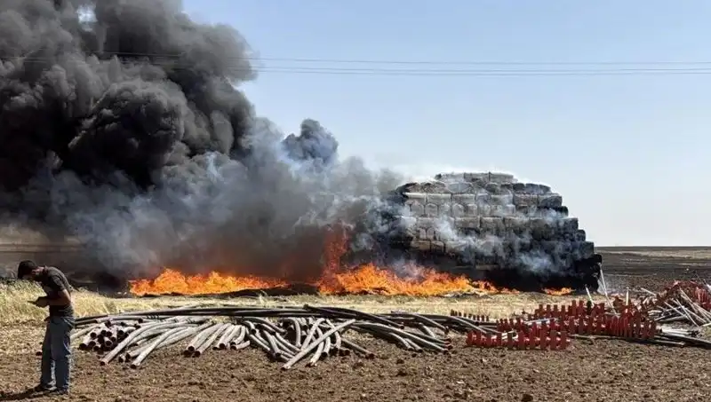 Mardin’de Anız Yangınları Kontrol Altına Alındı: Tarım Üzerindeki Etkileri Neler?