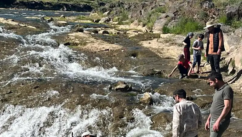 İnci Kefalinin Destansı Göçü: Doğanın Mucizesine Tanıklık Etmek İçin Yola Çıkanlar