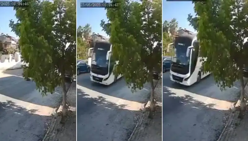 Yolda Yatan Köpeği Ezip Giden Sürücü Mücadele Ediyor!