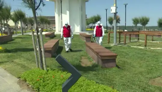 Kene Görülme Sıklığı Artıyor: Halka Açık Yerlerde İlaçlama Başlatıldı