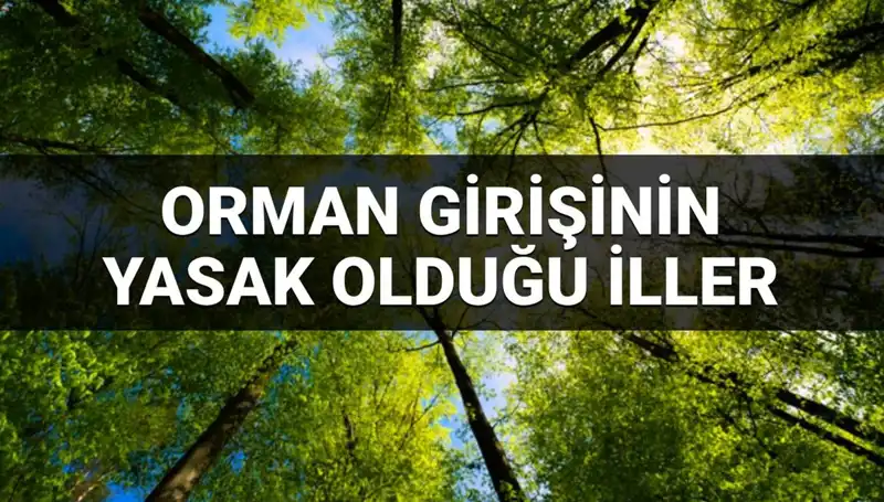 2025 Yılında Ormana Girişi Yasaklanan İllerin Listesi Açıklandı!