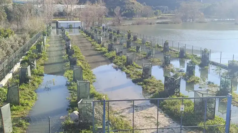 Irmak Taştı, Otoyol Şantiyesi Sular Altında Kaldı: Zarar Büyüyor