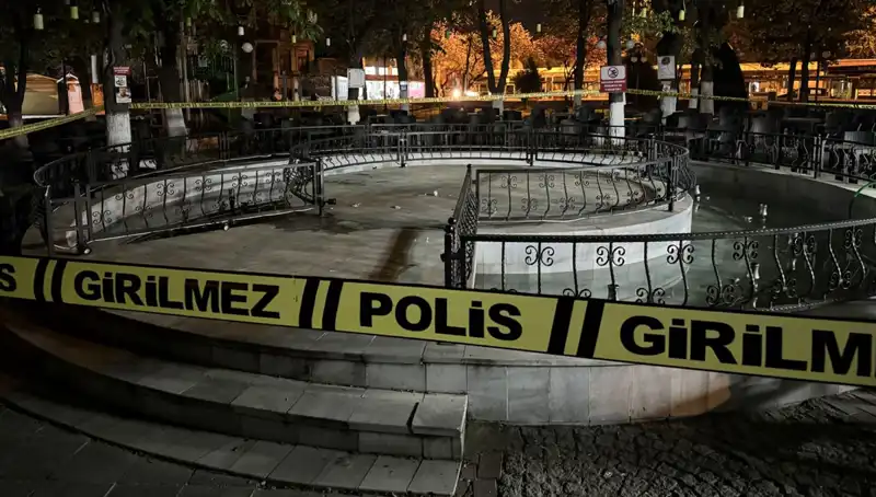 Kırklareli'nde Süs Havuzunda Yaşanan Korkunç Olay, Dört Kişi Hastaneye Kaldırıldı