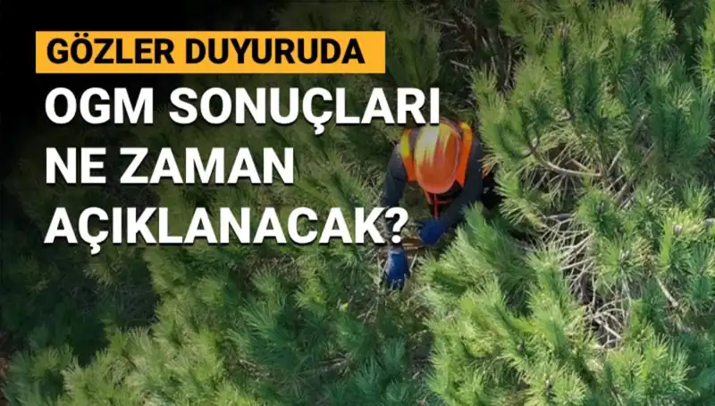 OGM Personel Alımında Gözler Sonuçlarda: 3 Bin 477 Sözleşmeli Pozisyon İçin Süreç Ne Olacak?