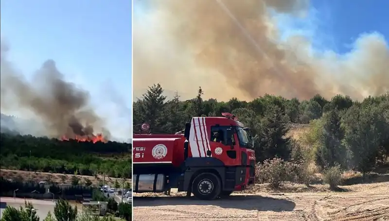 Gebze'de Şok Yangın: Ormanlık Alanlar Kül Oldu