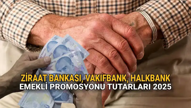 2025’te Emeklilere Özel Banka Promosyonları: Kamu Bankaları Ne Sunuyor?