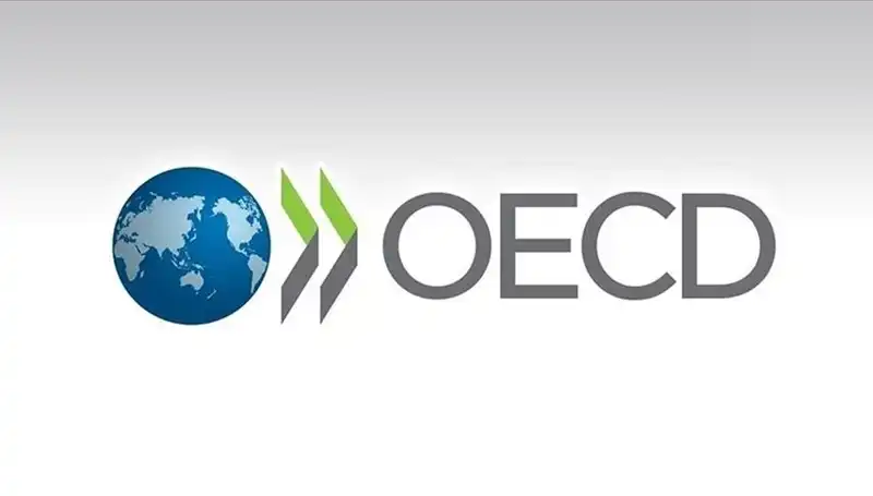 OECD, Türkiye Ekonomisi için 2023 Büyüme Tahminini Güncelledi!